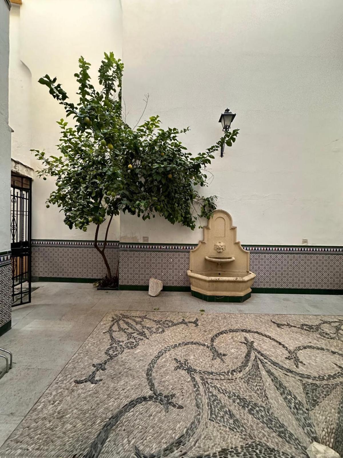 קורדובה Appartement Au Centre De Gordoba מראה חיצוני תמונה