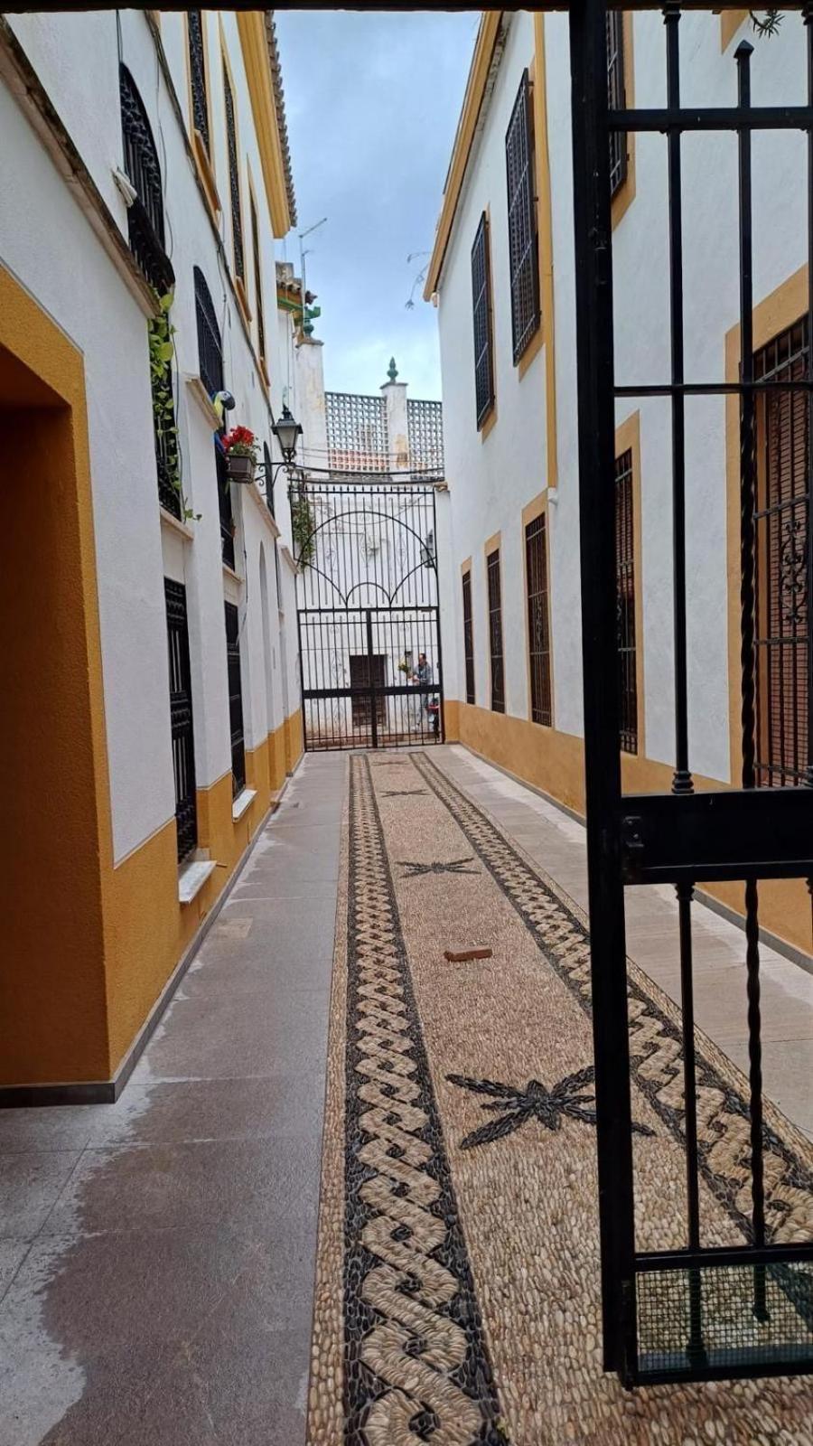 קורדובה Appartement Au Centre De Gordoba מראה חיצוני תמונה